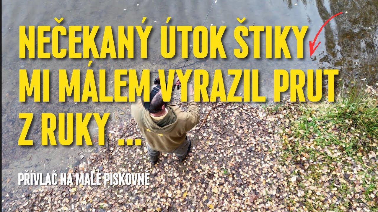 Nečekaný ÚTOK ŠTIKY mi skoro vyrazil prut z ruky! Budu kupovat nové párátko?