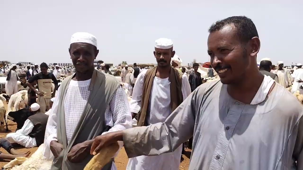 من فيديوهات العيد وسوق تمبول