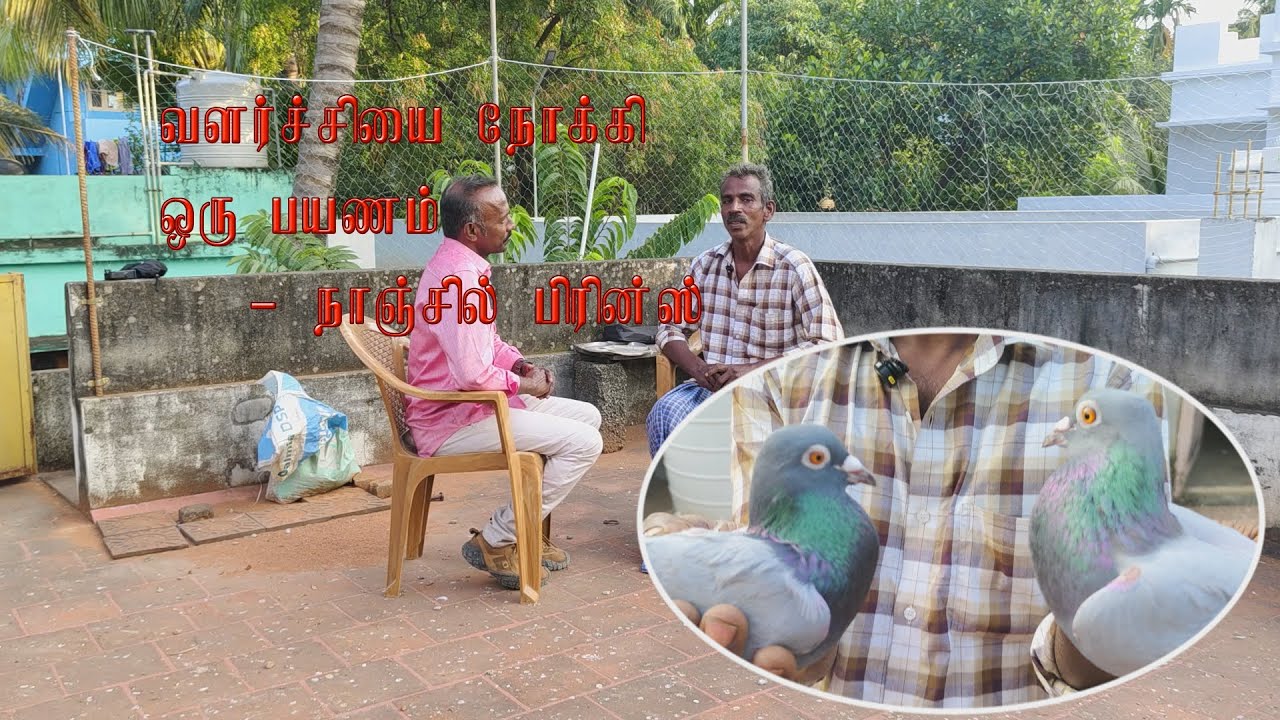 Mr.Jeya Kumar Avargaludan Nanjil Prince - Prince Pigeon World