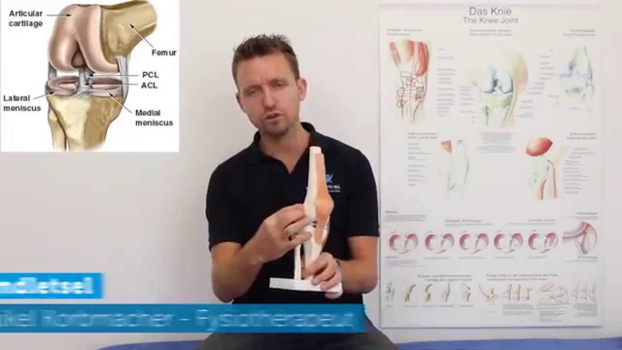 kniebandletsel binnenband en buitenband - Fysiotherapie4all