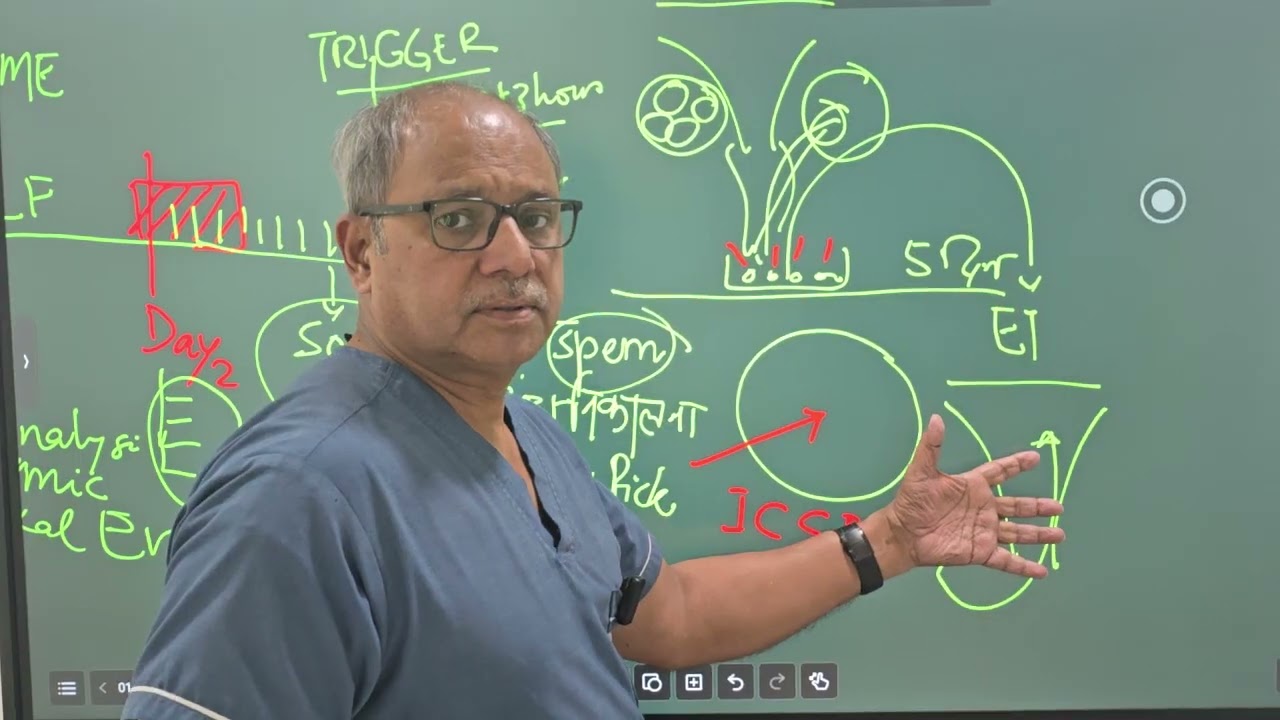 Flow chart of IVF treatment. हम आईवीएफ इक्सी ट्रीटमेंट को कैसे प्लान करते हैं 