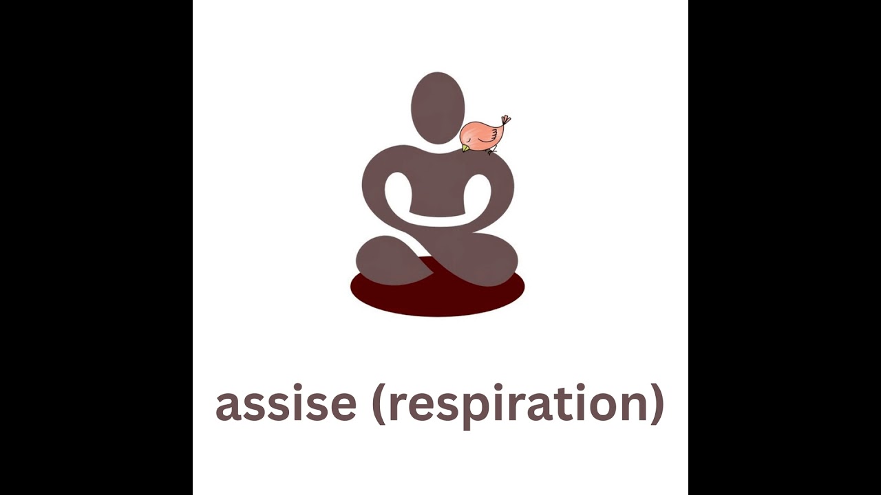Assise sur la respiration puis méditation sur la douleur physique, 22′