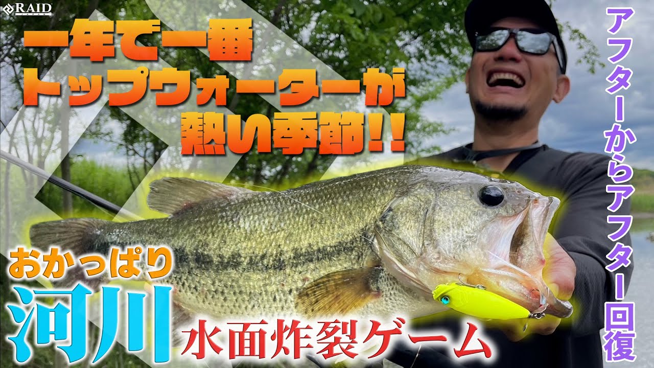【RAID JAPAN】 一年で一番トップウォーターが熱い季節 河川水面炸裂ゲーム