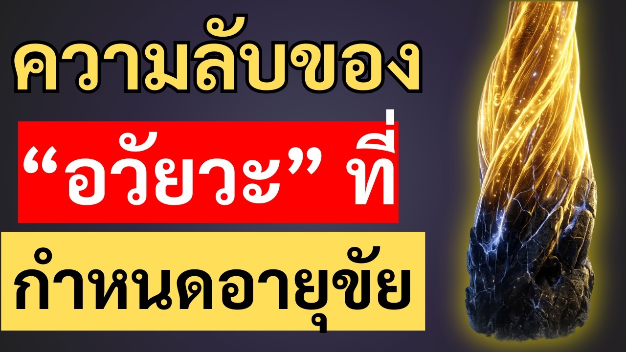 ความลับของ 