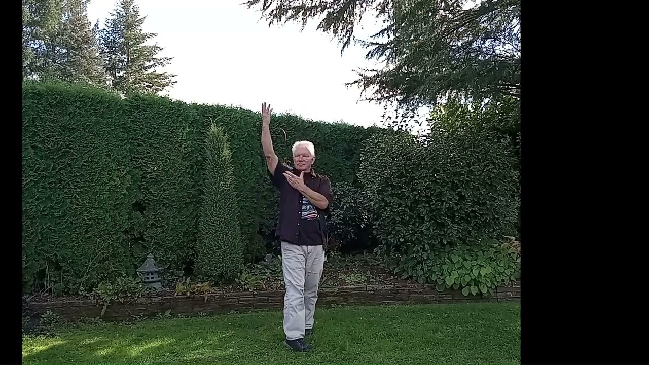 01 Xin Qi Shen Bagua Basics