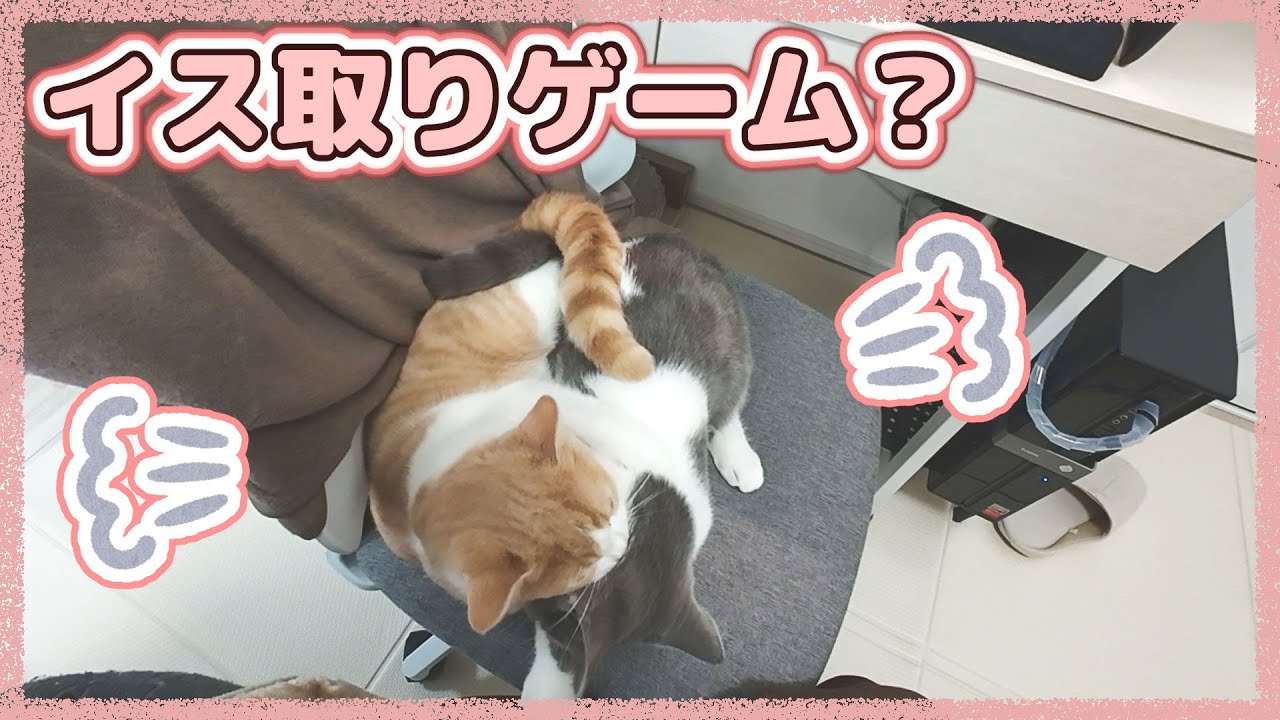トイレに行って戻ってきたらこの状態