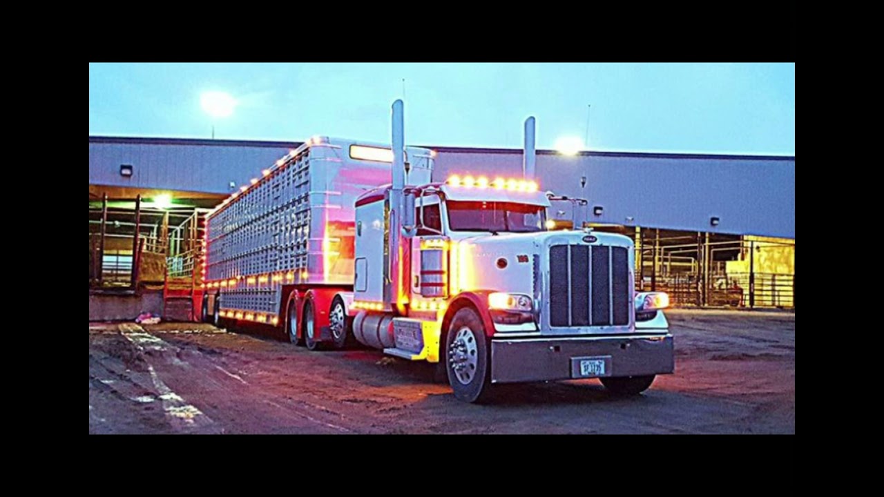 Truck driving man only bull haulers