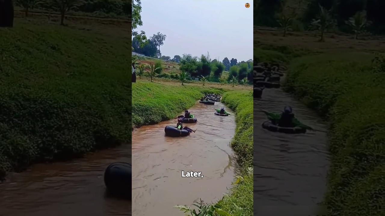 This farm makes money 3 ways! 🤯