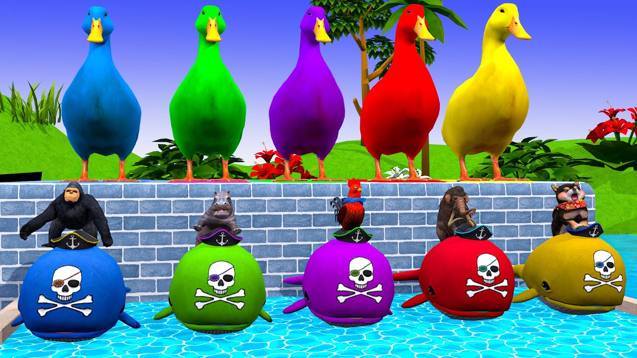5 Giant Duck Cartoon, Cow, Gorilla, Mammoth, Hippo, Paint Wild Animals Crossing Fountain Animation