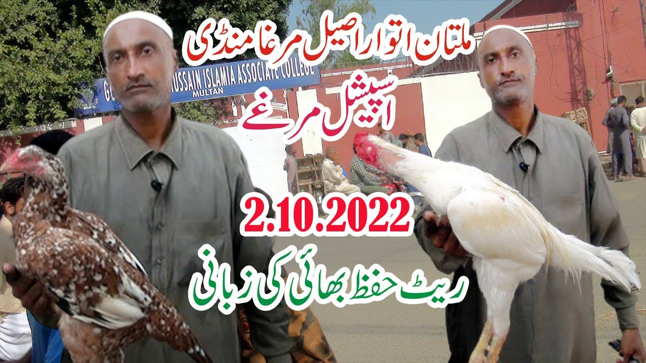 Special Aseel in Multan Aseel Murga Mandi | Friday Multan  | @SAEED PETS