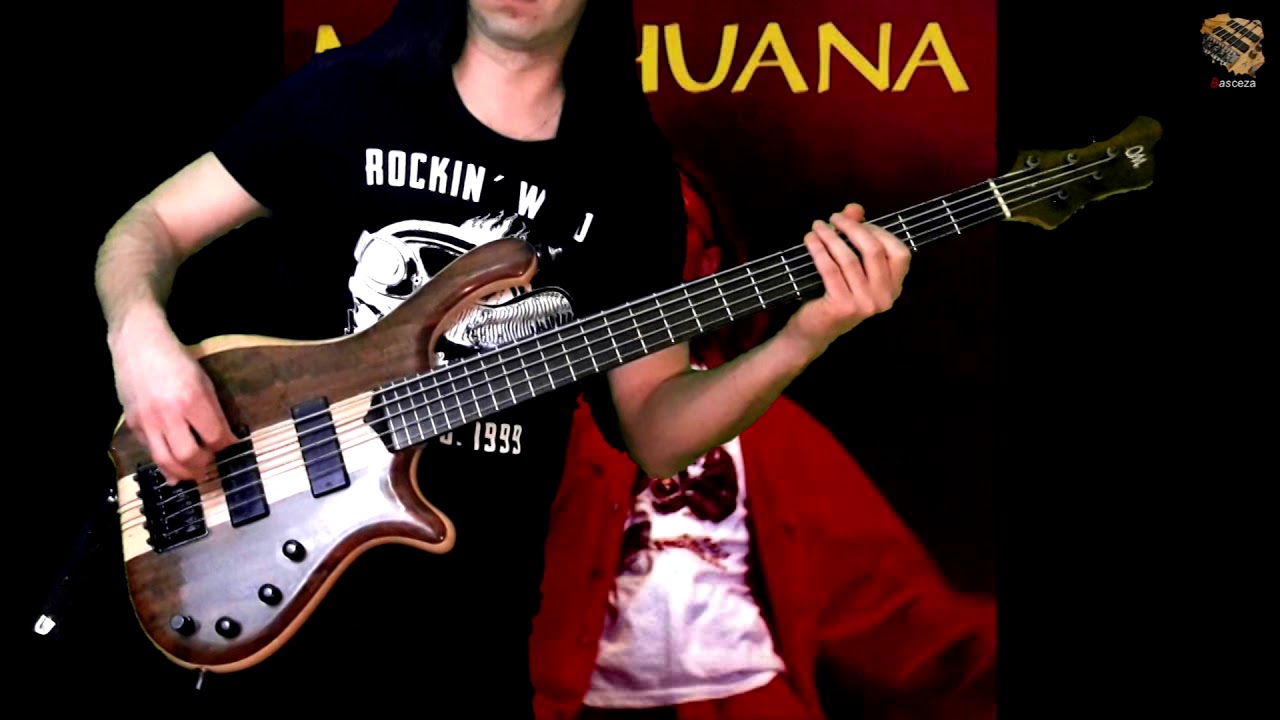 Marihuana - Róże Europy - Basceza #191