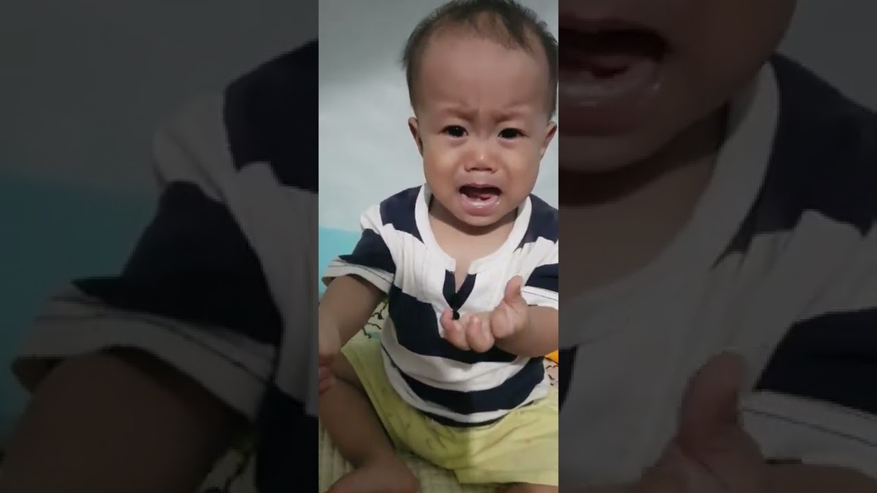 Tèo Gấu không ngoan
