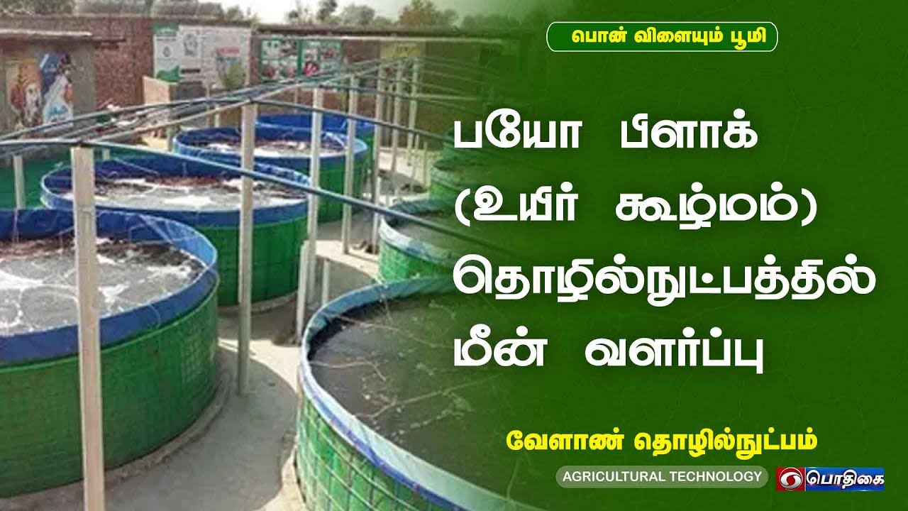 பயோ பிளாக் உயிர் கூழ்மம் தொழில்நுட்பத்தில் மீன் வளர்ப்பு | Agricultural Technology