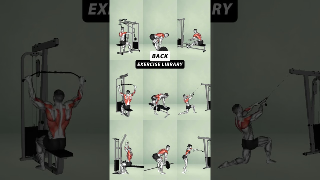 Ultimate Gym Back Workout for a Stronger Body - No Excuses #gym #yoga #buildmuscle #workout