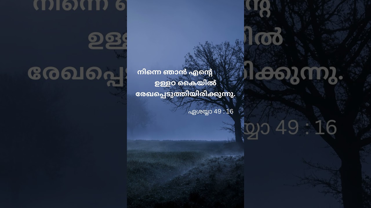 ബൈബിൾ വചനങ്ങൾ || Bible Verses || Bible Quotes Malayalam Daily ദൈവ വചനങ്ങൾ #bible #malayalam