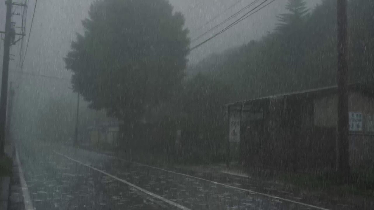 Deep Sleep Rain 🌧️ Gentle Rainfall White Noise | Relaxing Night Rain for Insomnia