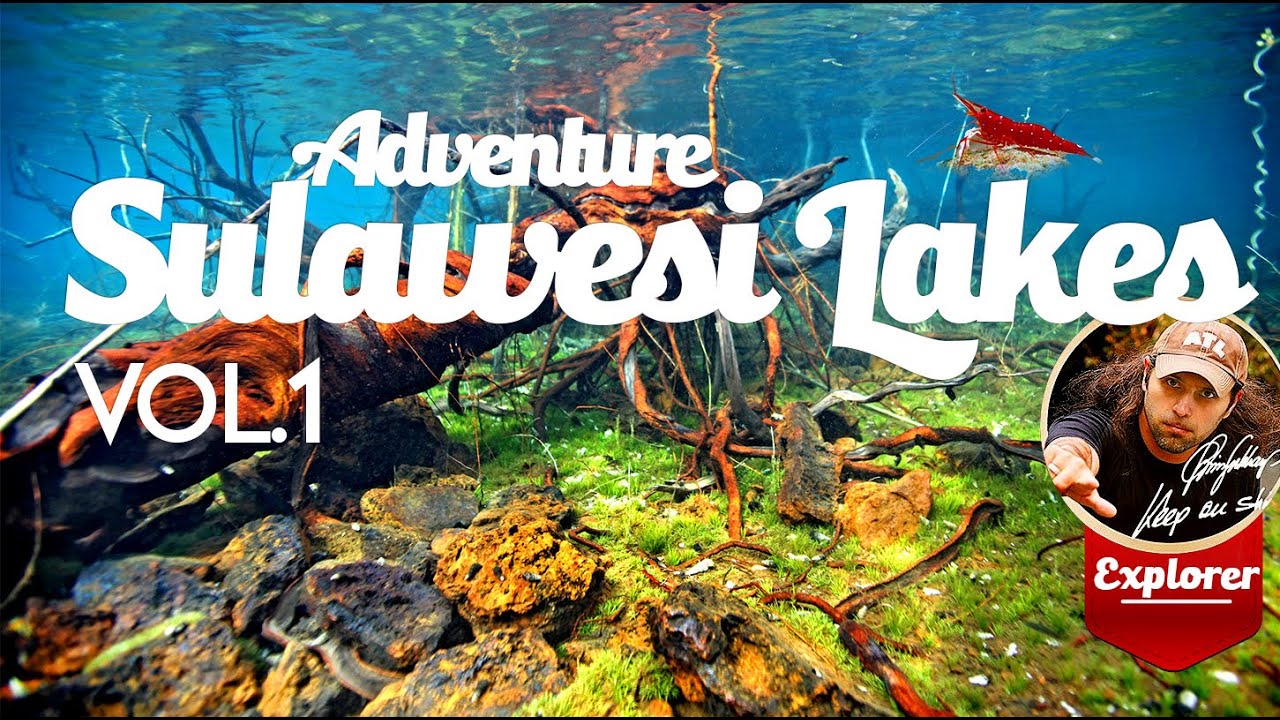 Adventure Sulawesi - Vol 1. The Lakes and the way to the Lakes