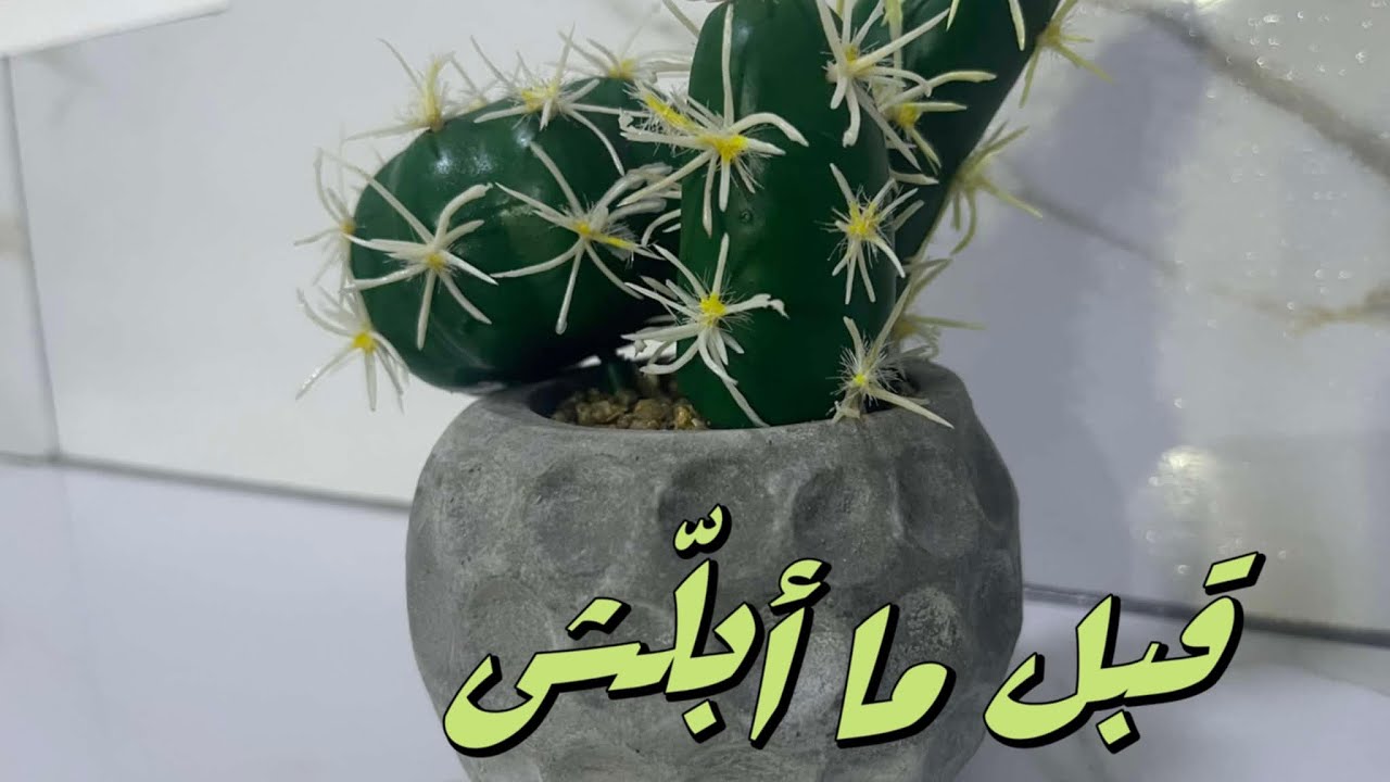 قبل ما أفوت على الحمام… اكتشفت المصيبة 😳السر مش بالمنظّف🧼 بلّشت التحدّي من أصعب زاوية بالبيت