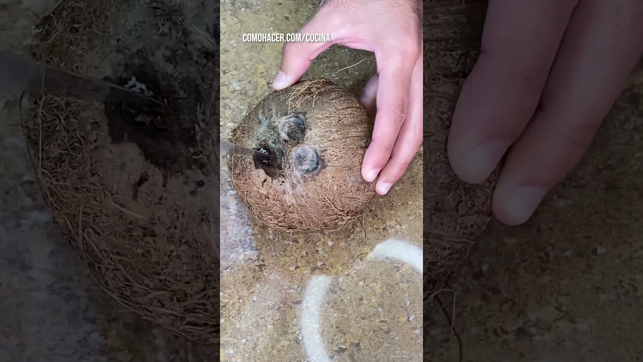 🔥 C&oacute;mo Hacer Leche de Coco Casera 🥥 &iexcl;Deliciosa Receta! 🤤