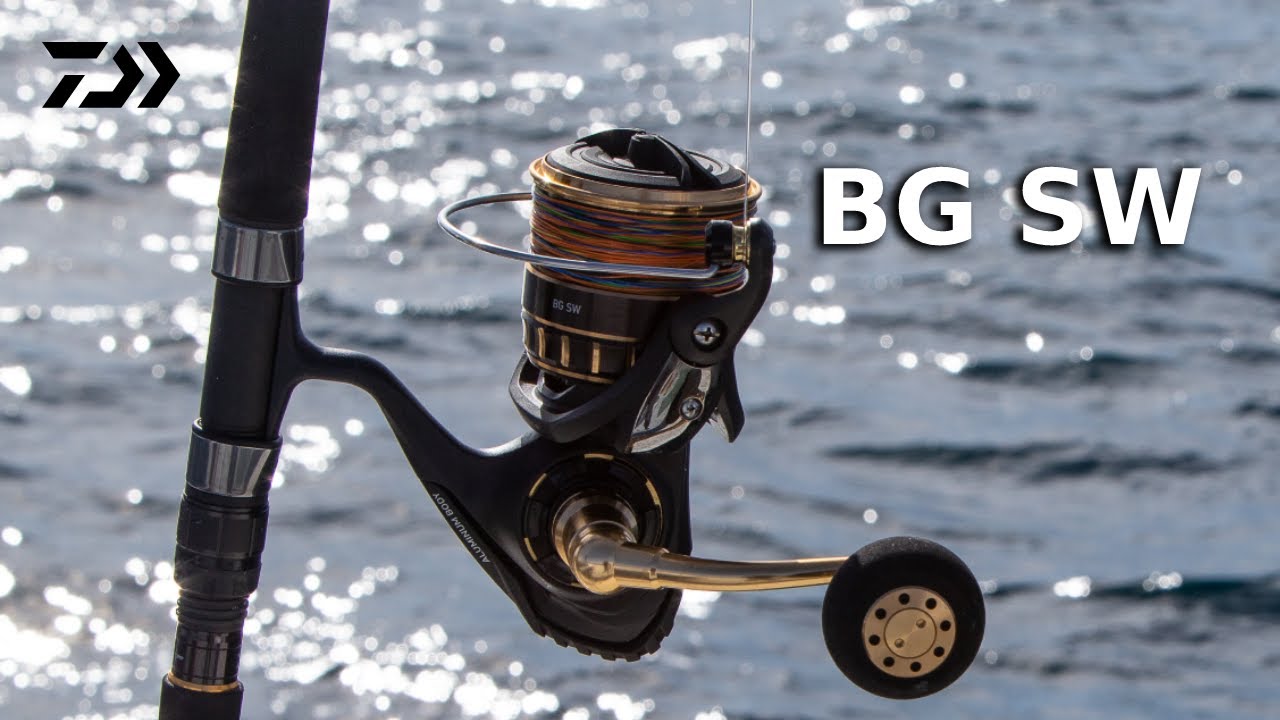 23 BG SW || JIGGING & CASTING || DAIWA