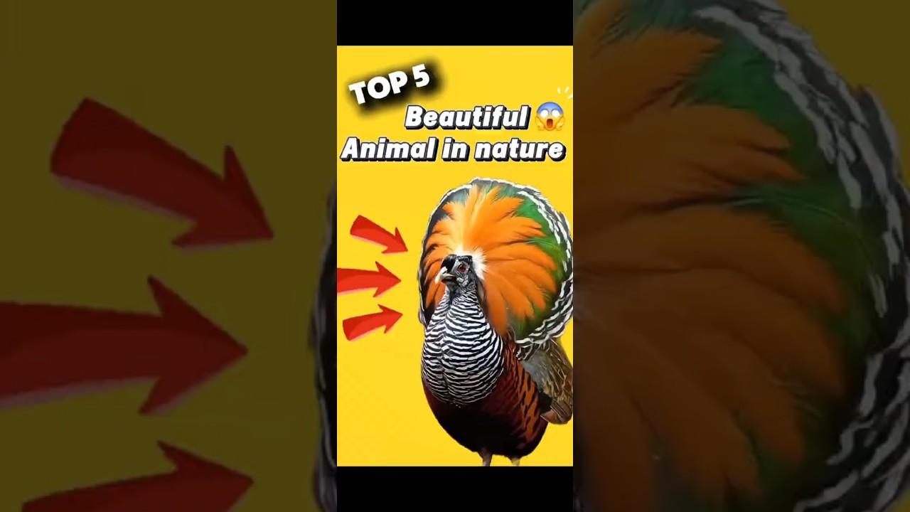 😇 God&rsquo;s Most Gorgeous Animals! Top 5 Beautiful Creatures in Nature 🌎🦋 #animal #beautiful #shorts