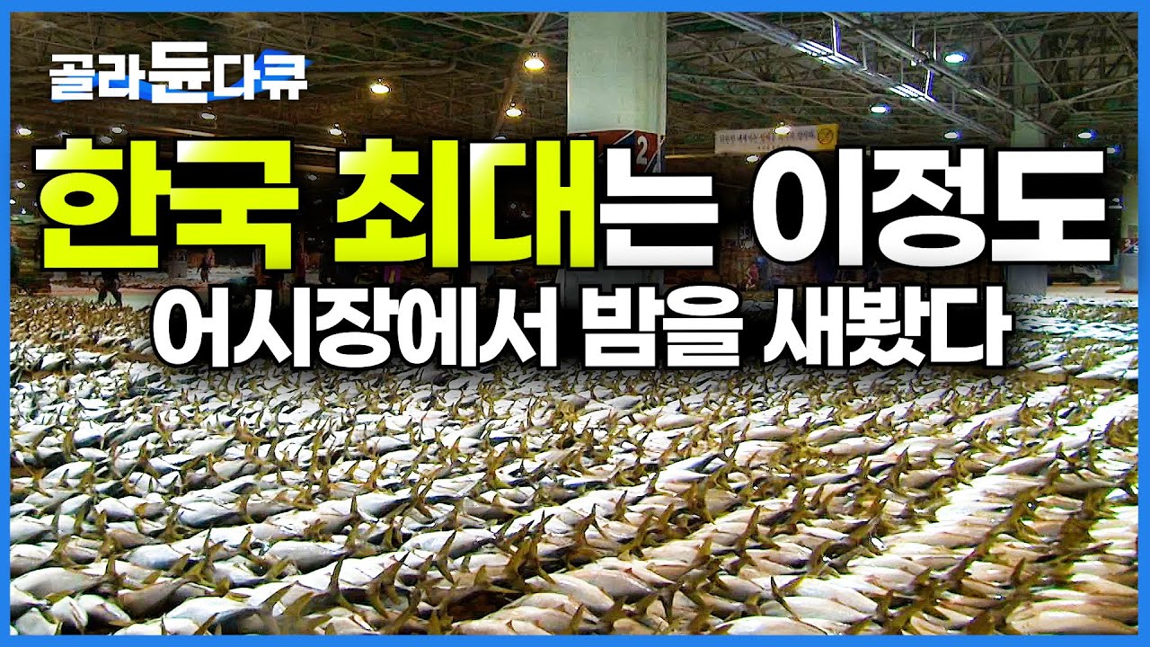 한국 모든 생선 싹 다 모인다는 부산 어시장에서 밤을 새봤다. 국내 수산시장의 모든 것│극한직업│#골라듄다큐