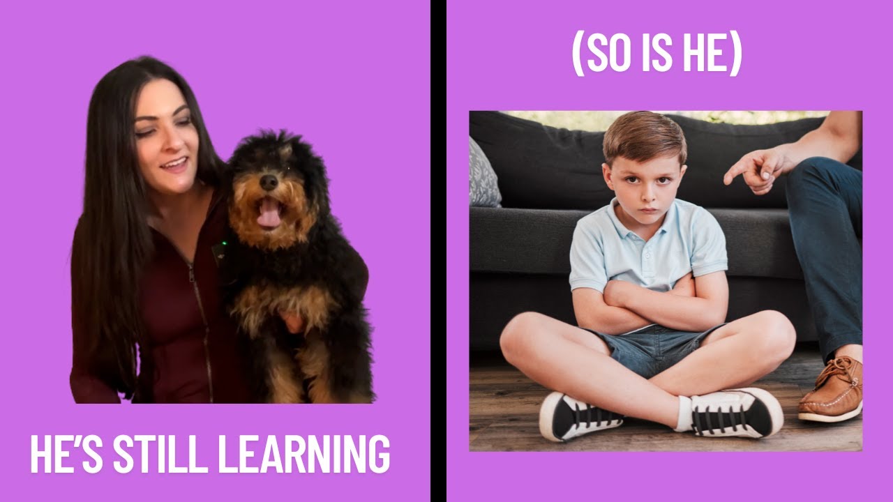 We told boys they aren't wanted. Now they're giving up.