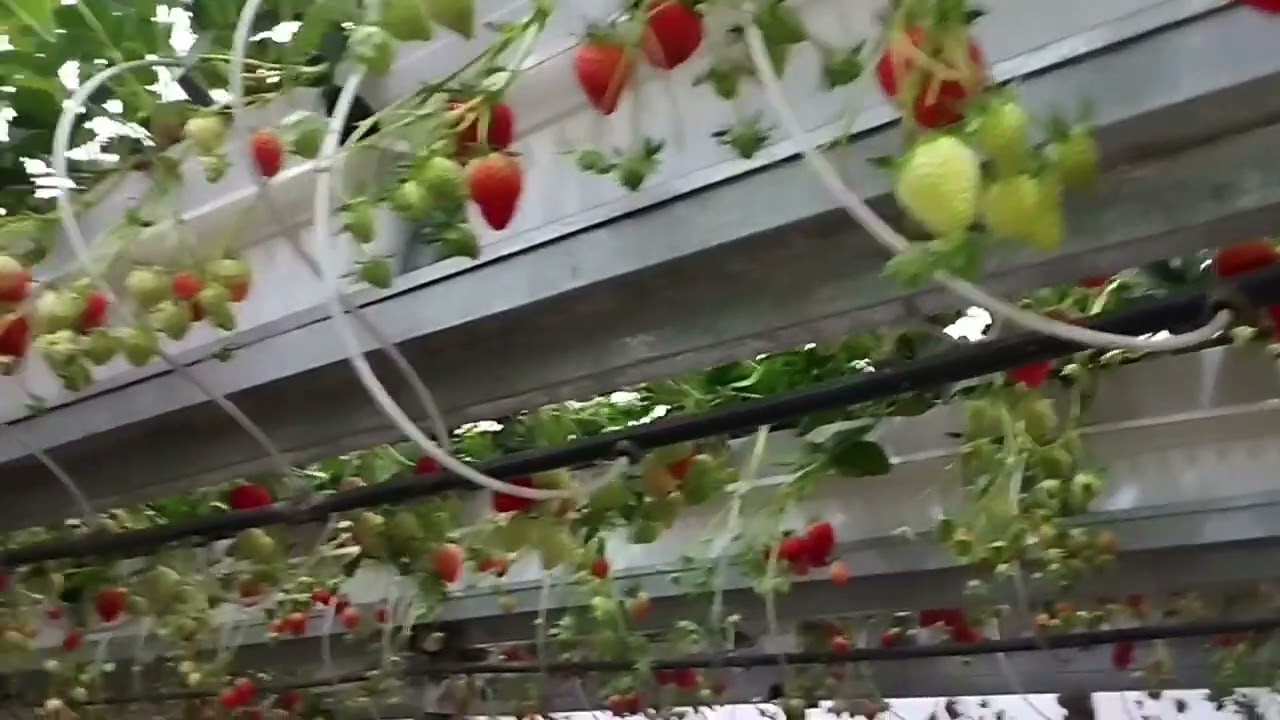 11 февраля 2026 г.