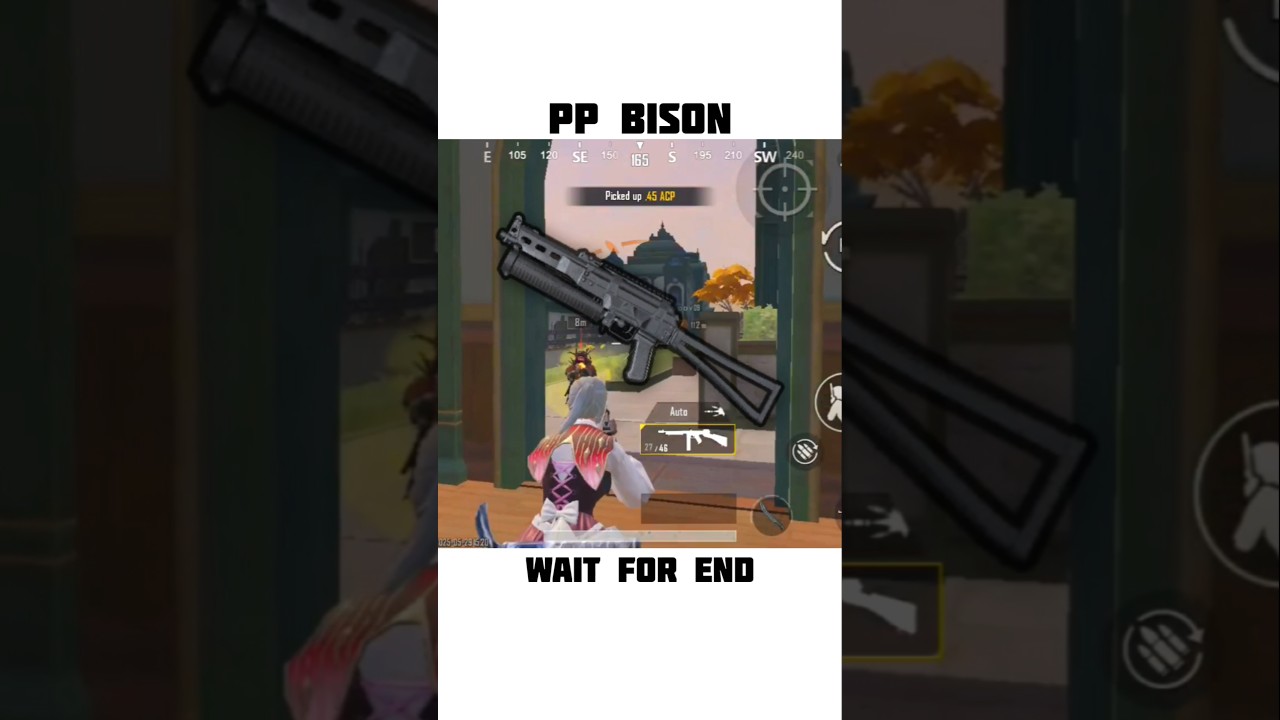 PP bison is trained