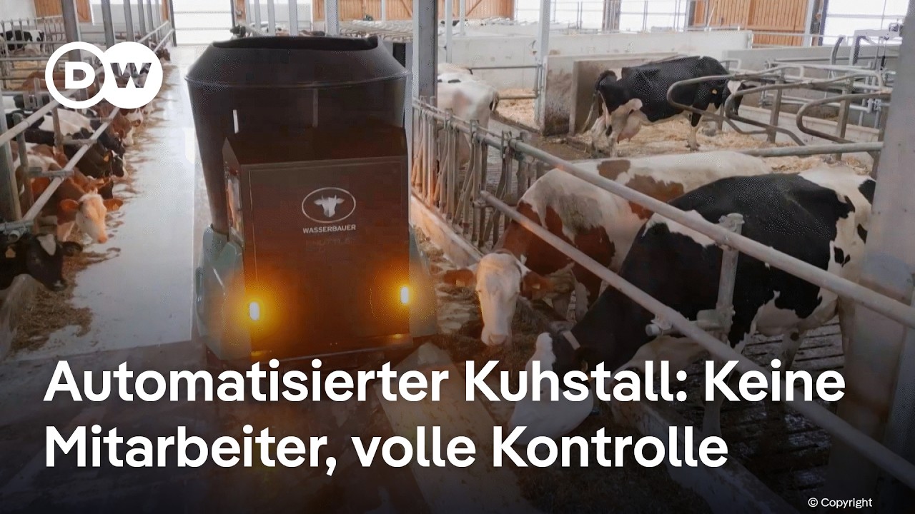 Stallarbeit war gestern – hier übernehmen Roboter und künstliche Intelligenz | DW Nachrichten