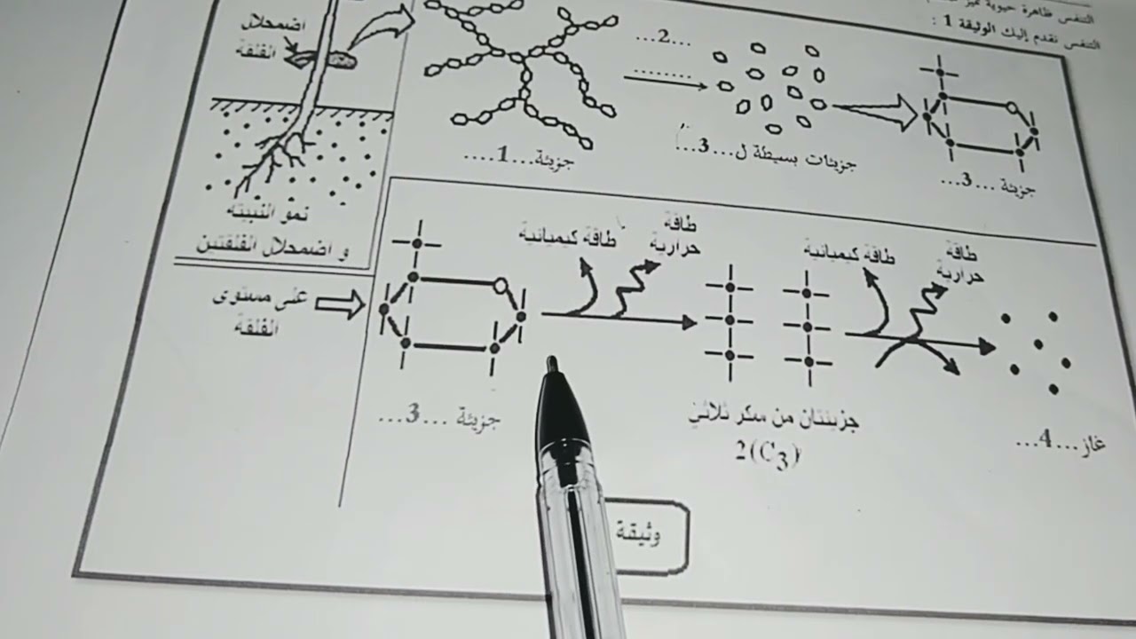 حل تمرين (التنفس)...مراجعة للفرض والاختبار.... السنة الأولى قانوي