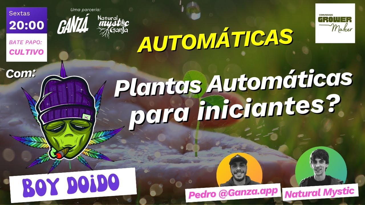 Cultivo de plantas Autom&aacute;ticas Descomplicado: Aprenda com o Mestre Grower Boy Doido!🌿🔥🎓