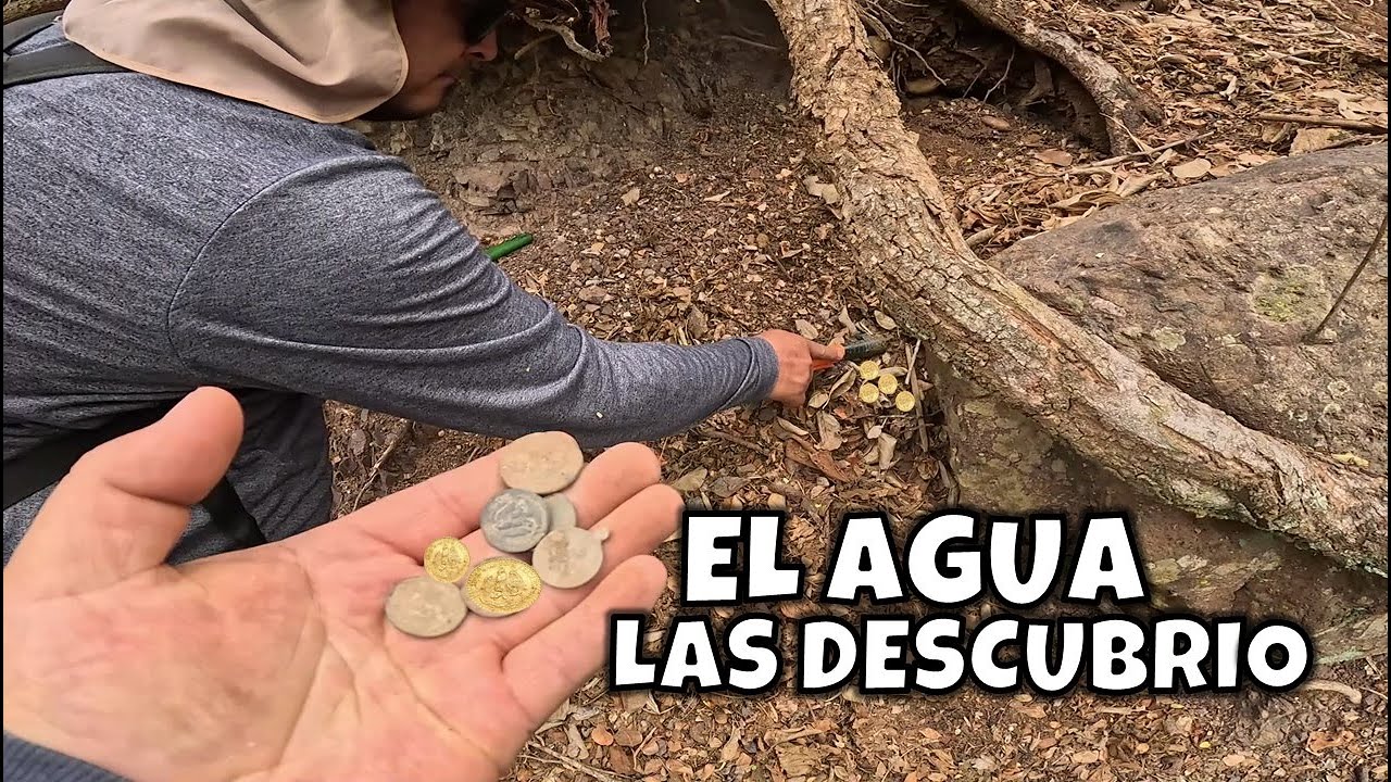 La lluvia dejo al descubierto un TESORO OCULTO bajo las raices de este arbol detectando las encontre