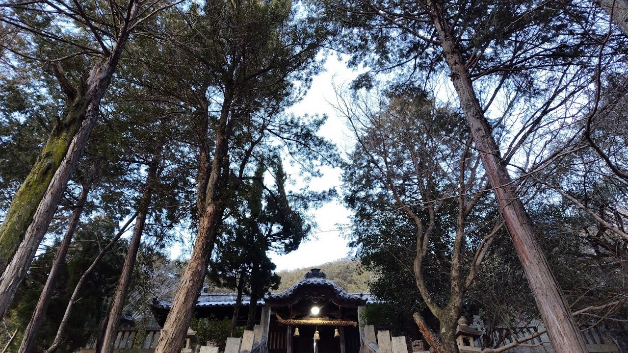 散歩がてらに地元の八幡神社に行ってきた