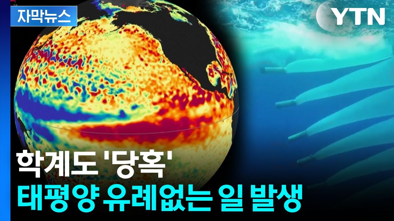 [자막뉴스] 