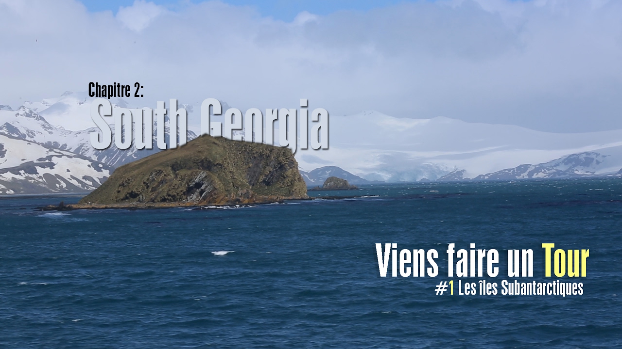 #1 chapitre 2 La géorgie du SUD