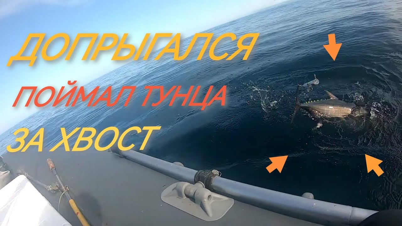 Море закипело! Поймал тунца за хвост! Пожалел беднягу!