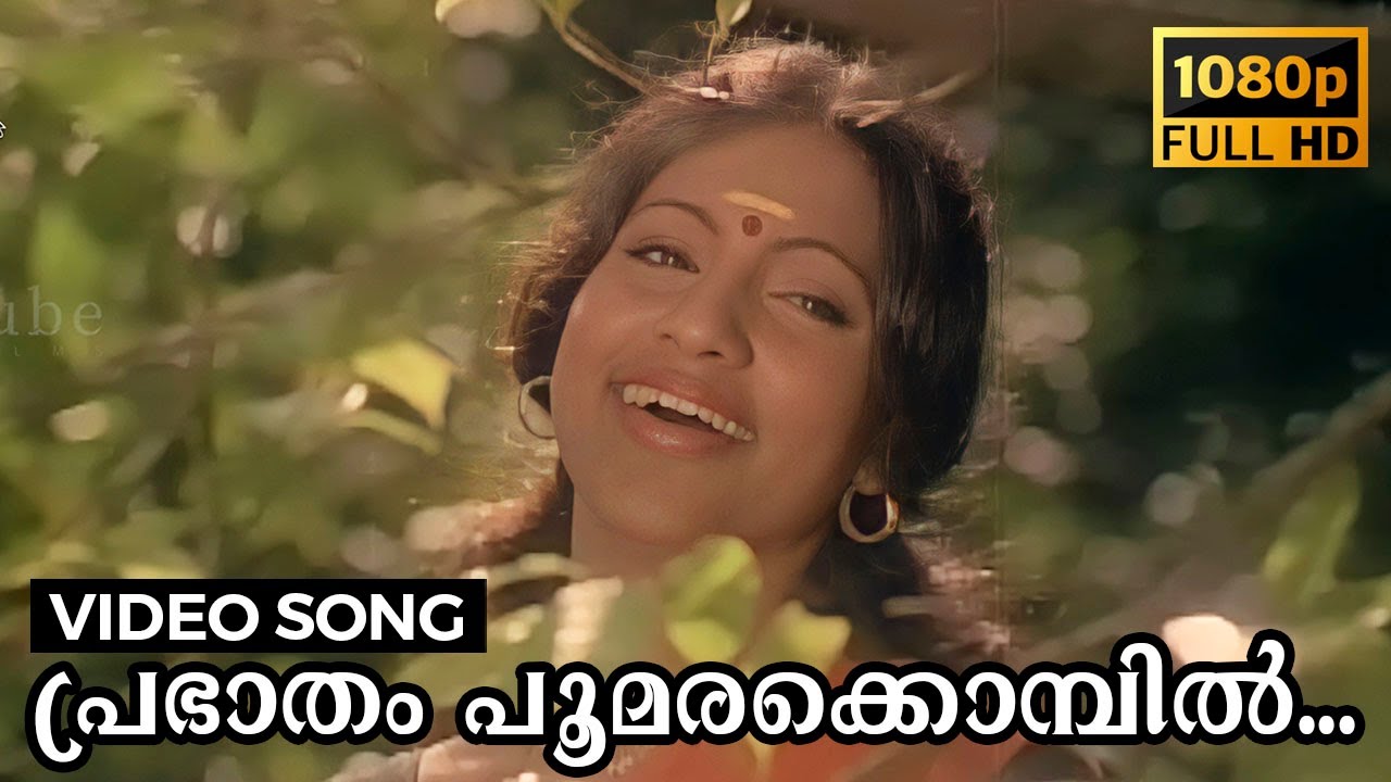 Prabhaatham Poomarakkombil Video Song | Manasa Vacha Karmana | Sukumaran, Seema