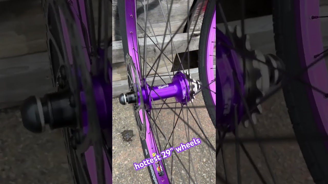 29&rdquo; bike life bmx wheels profile elites with maxxis tires #bmx #bikelife #weoutside #richmondva #se