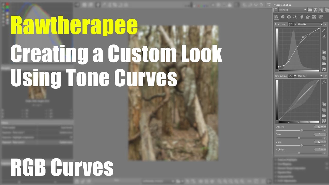 Rawtherapee Creating a custom look using tone curves