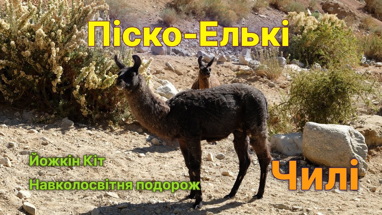 День 320-323. Йожкін Кіт в Чилі. Під зорями чилійськими. Навколосвітня подорож.