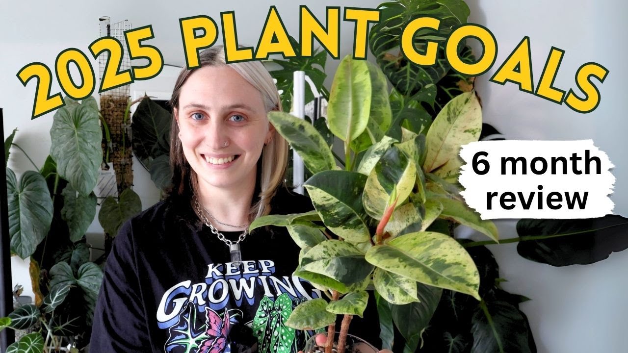 Houseplant Journey 🪴6 Months of Growth, Mistakes & Progress