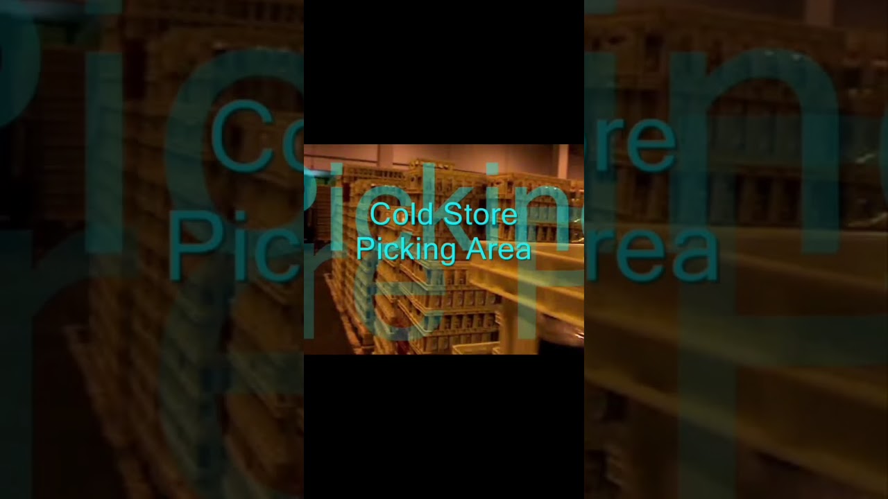 Outbound Warehouse Picking Area and Reefer Loading Dock. 