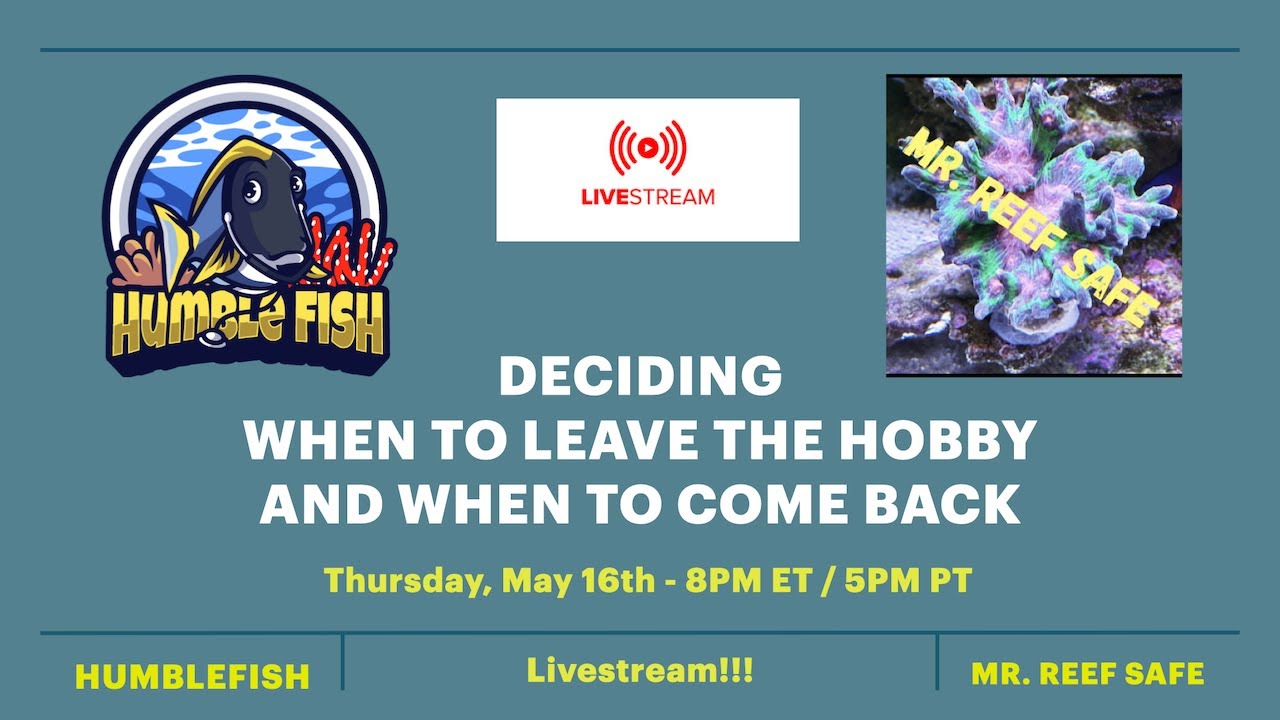 Deciding When To Leave The Hobby and When To Come Back