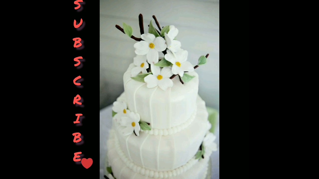 Eye Catching Most Satisfying CAKE Unusual Theme Beautiful Food