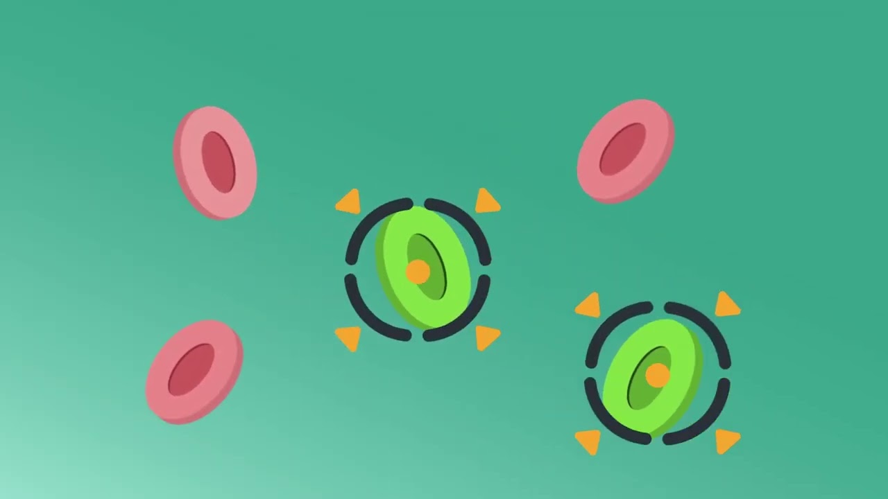 How Immunotherapy Works: Your Immune System&rsquo;s Role in Fighting Cancer