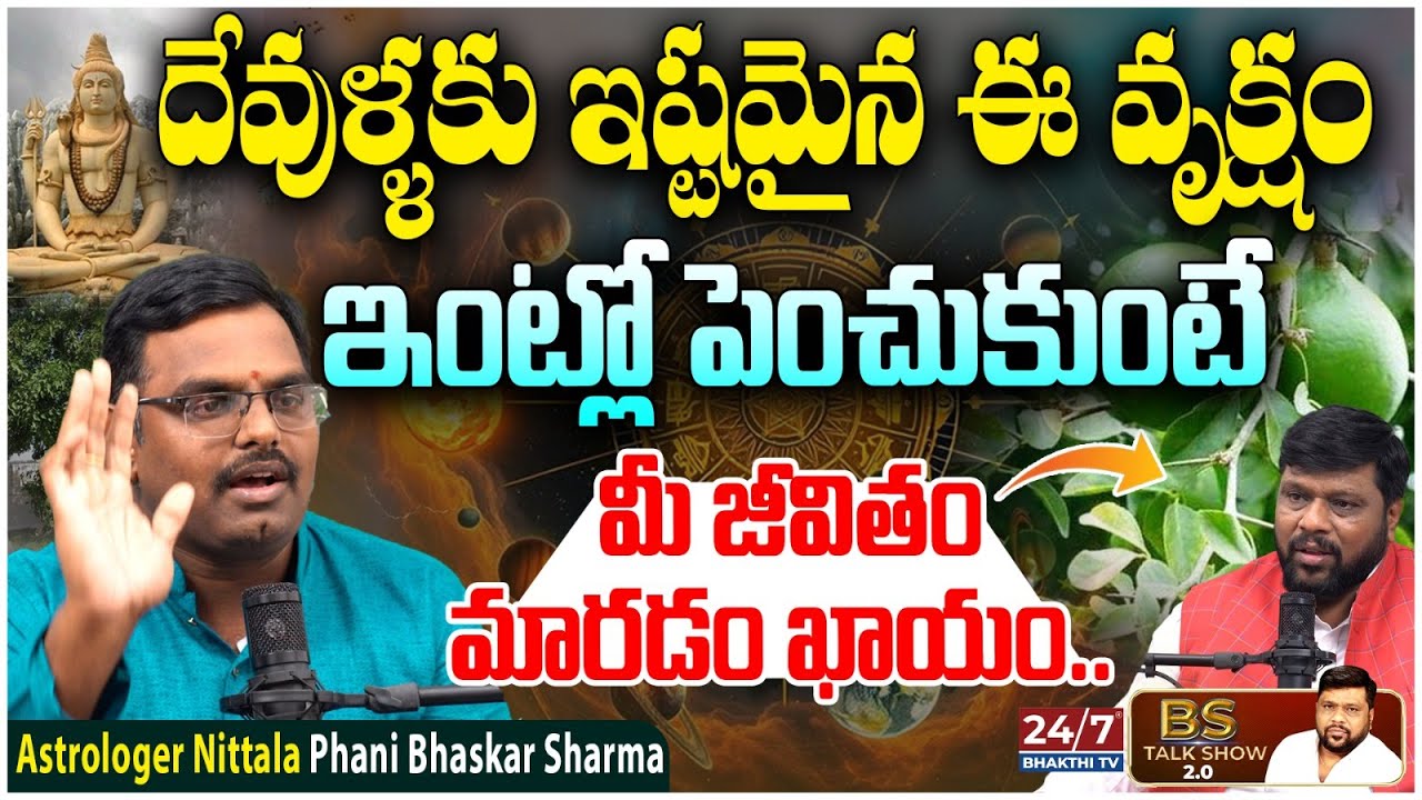 Astrologer Nittala Phani Bhaskar Sharma About Bilva Tree |  BS Talk Show Latest | Koluguri 24/7 News