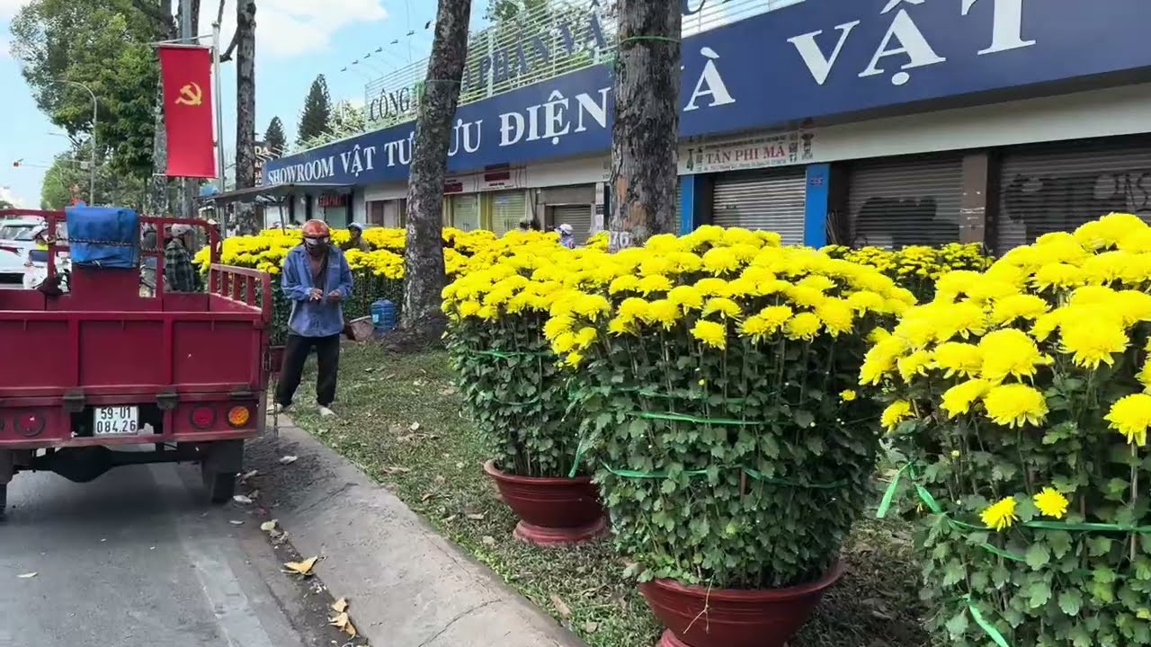Trưa 29 Tết Bính Ngọ 2026