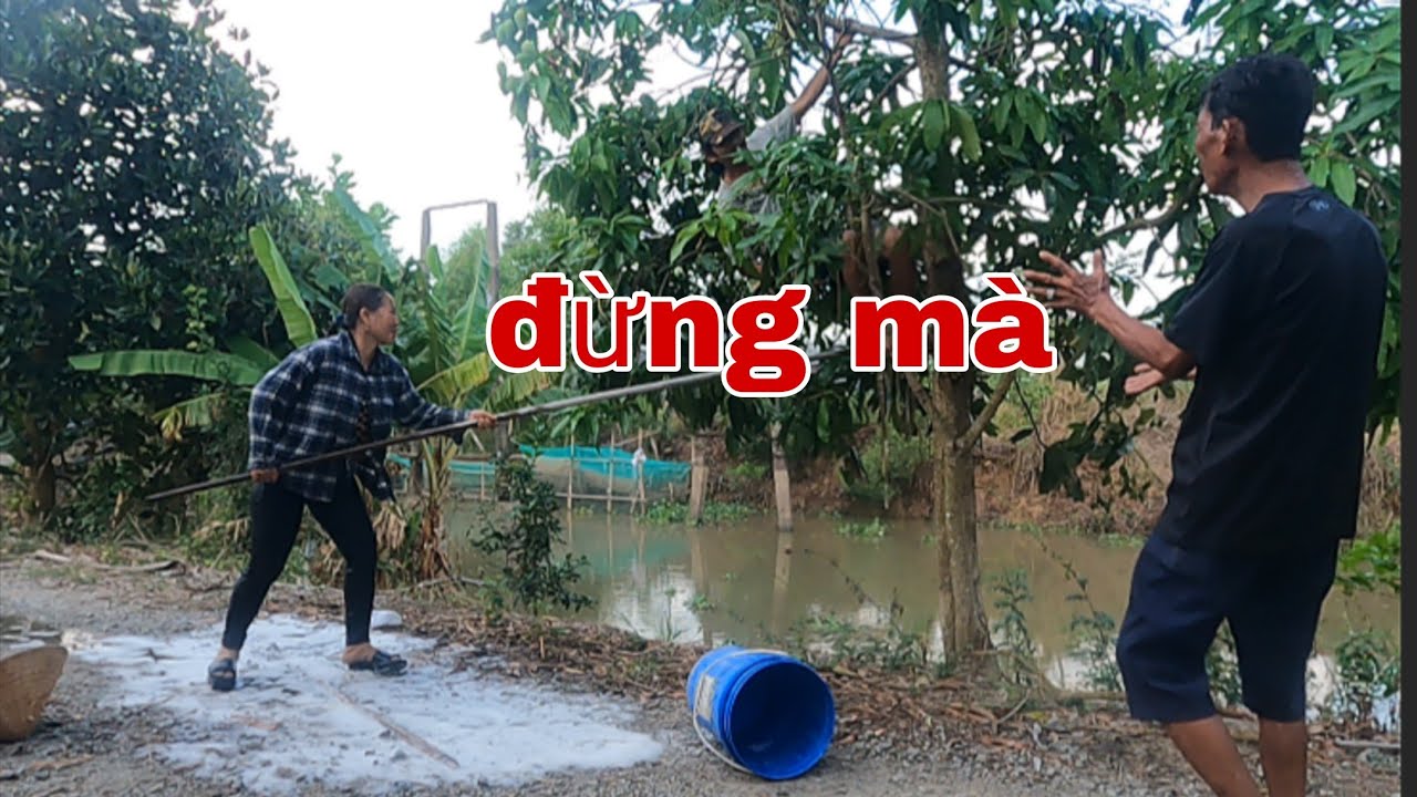 Nghe Lời Tư Cà Khịa Anh Ba Bị Tư Ú Nu Rượt Chạy Không Kịp Về Nhà Luôn