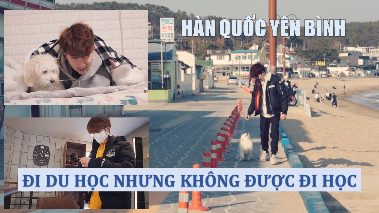Cuộc sống ở Hàn Quốc - Đi chơi biển và không cần phải đi học